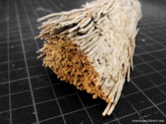 sample of palmwood